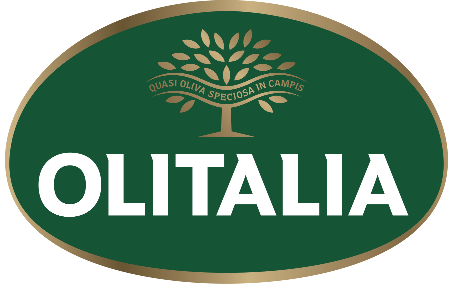 Olitalia